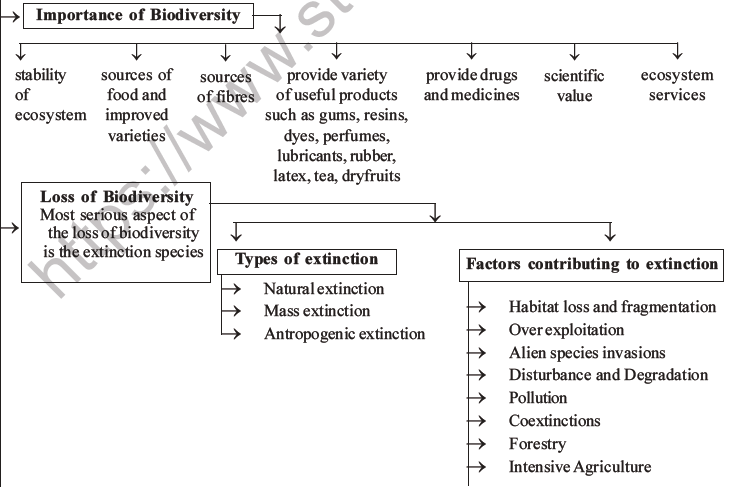 NEET Biology Biodiversity And Its Conservation MCQs Set B, Multiple ...